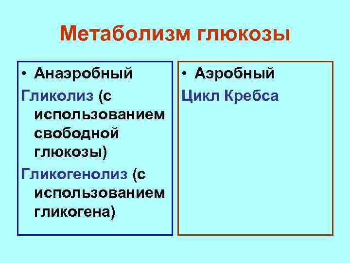 Метаболизм глюкозы • Анаэробный Гликолиз (с использованием свободной глюкозы) Гликогенолиз (с использованием гликогена) •