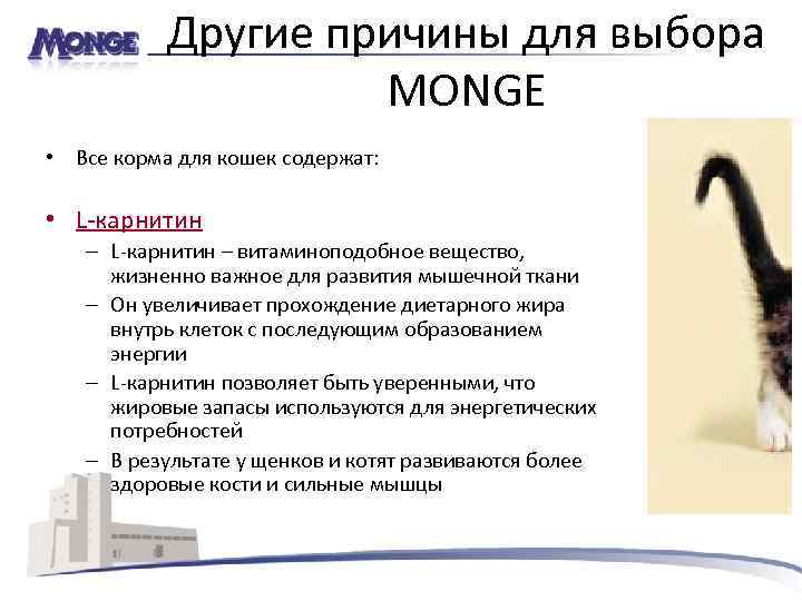 Другие причины для выбора MONGE • Все корма для кошек содержат: • L-карнитин –