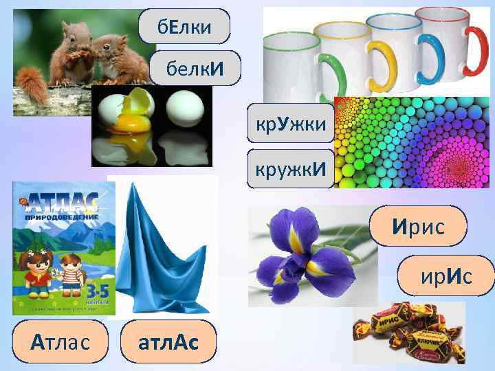 б. Елки белк. И кр. Ужки кружк. И Ирис ир. Ис Атлас атл. Ас