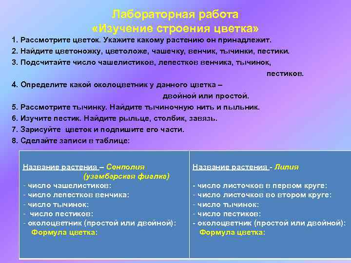 Лабораторная работа «Изучение строения цветка» 1. Рассмотрите цветок. Укажите какому растению он принадлежит. 2.