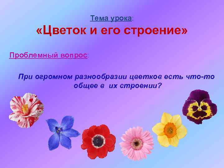 Тема урока: «Цветок и его строение» Проблемный вопрос: При огромном разнообразии цветков есть что-то