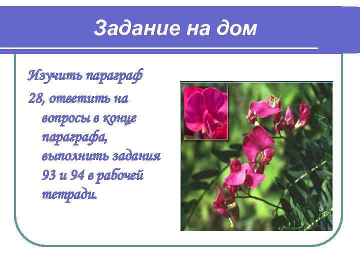 Задание на дом Изучить параграф 28, ответить на вопросы в конце параграфа, выполнить задания