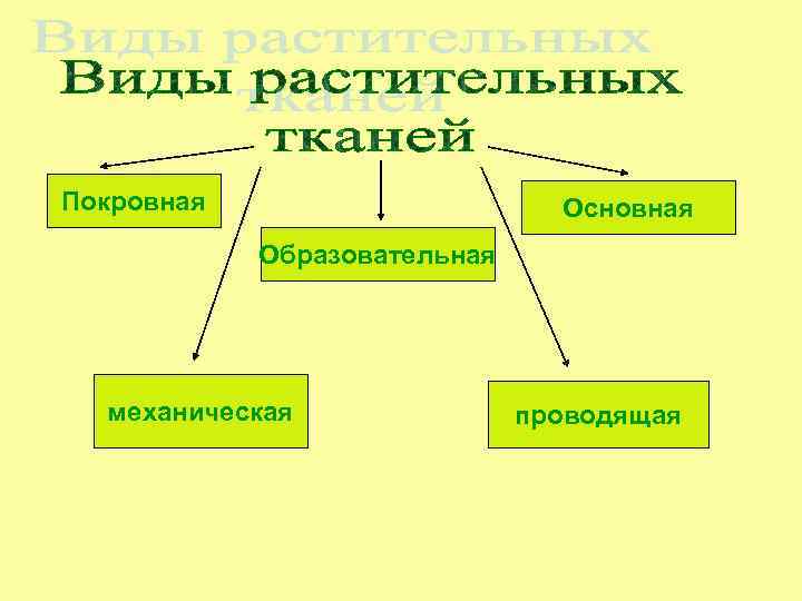 Покровная Основная Образовательная механическая проводящая 