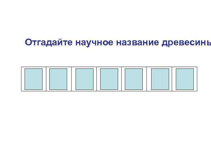 Отгадайте научное название древесины К С И Л Е М А 