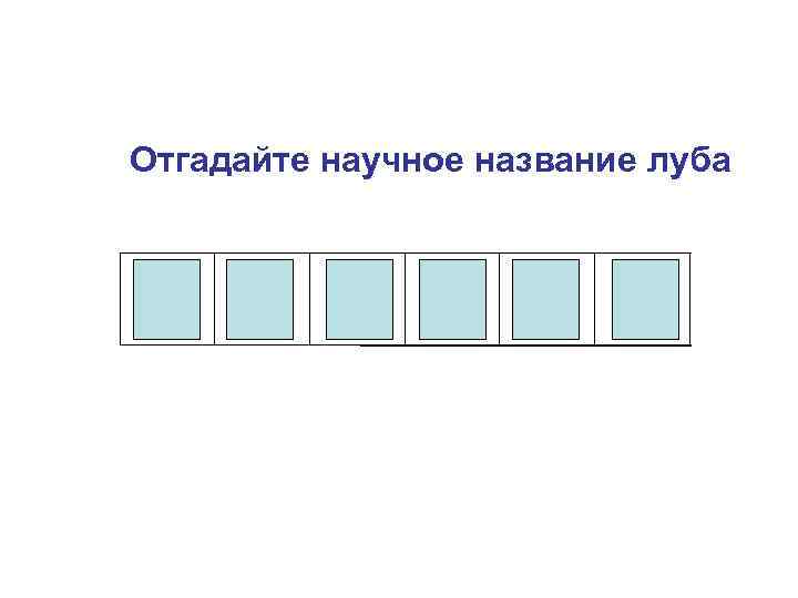 Отгадайте научное название луба Ф Л О Э М А 
