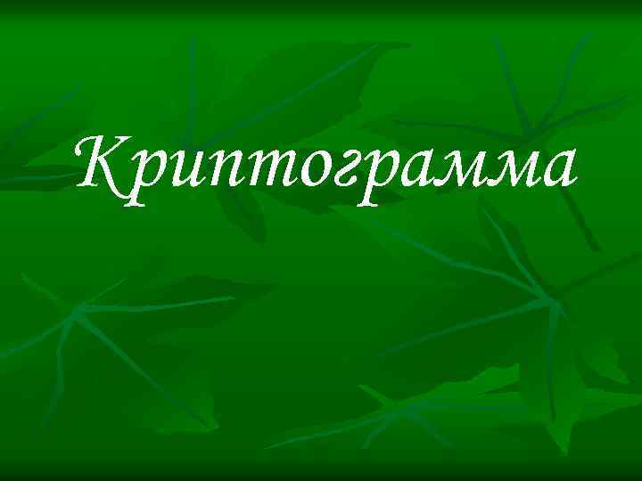 Криптограмма 