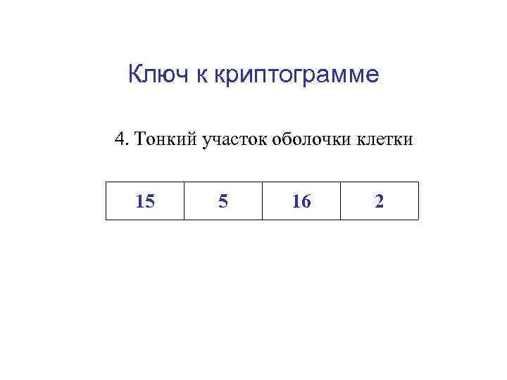 Ключ к криптограмме 4. Тонкий участок оболочки клетки 15 5 16 2 