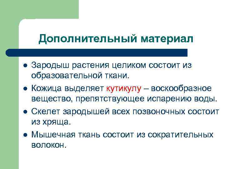 Дополнительный материал l l Зародыш растения целиком состоит из образовательной ткани. Кожица выделяет кутикулу
