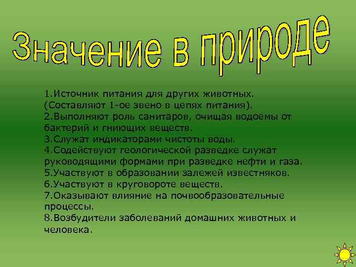1. Источник питания для других животных. (Составляют 1 -ое звено в цепях питания). 2.