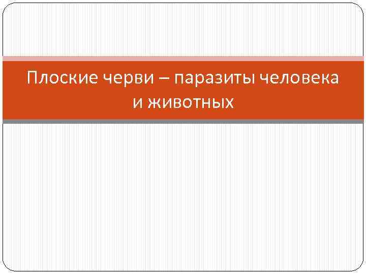 Плоские черви – паразиты человека и животных 