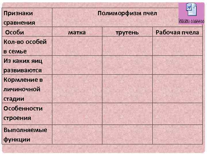 Составьте план рассказа об образе жизни общественных насекомых