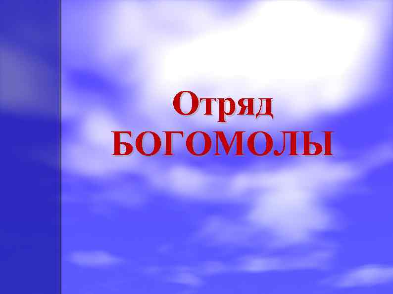 Отряд БОГОМОЛЫ 