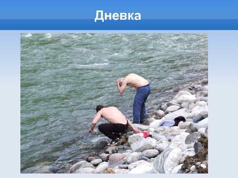 Дневка 