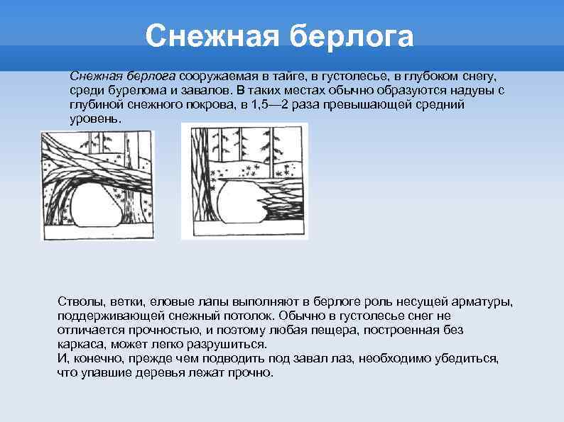 Снежная берлога сооружаемая в тайге, в густолесье, в глубоком снегу, среди бурелома и завалов.