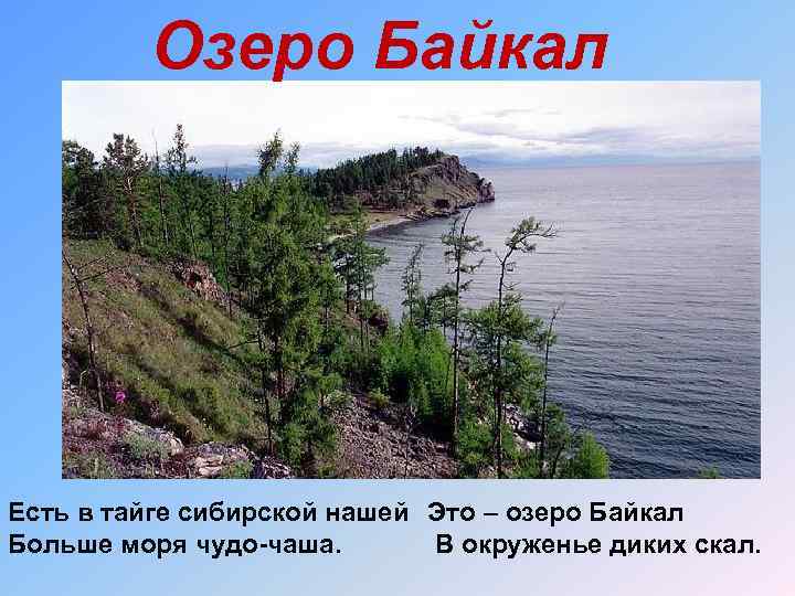 Озеро Байкал Есть в тайге сибирской нашей Это – озеро Байкал Больше моря чудо-чаша.