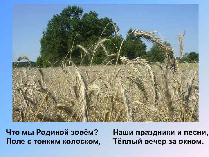 Что мы Родиной зовём? Поле с тонким колоском, Наши праздники и песни, Тёплый вечер