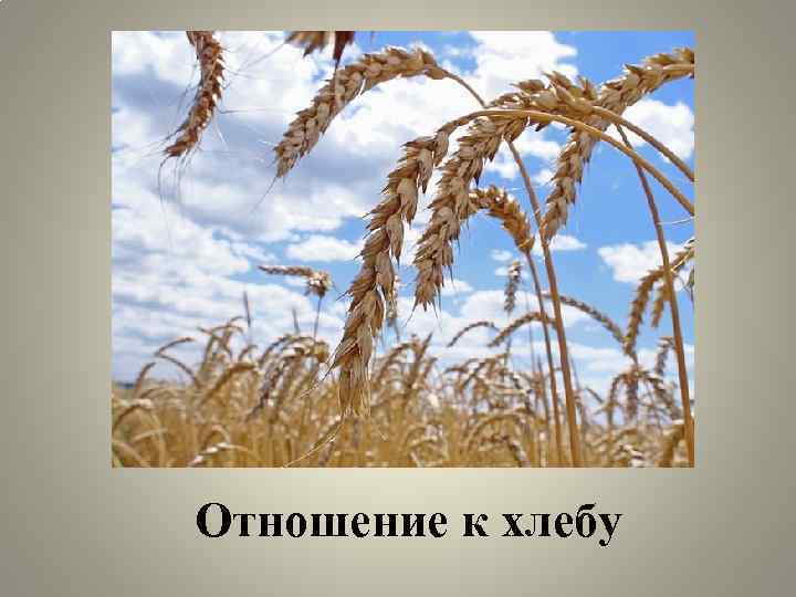 Отношение к хлебу 