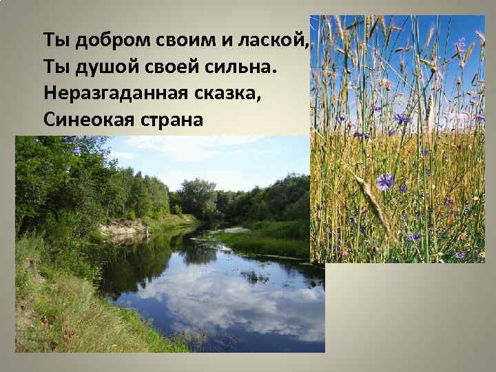 Ты добром своим и лаской, Ты душой своей сильна. Неразгаданная сказка, Синеокая страна 