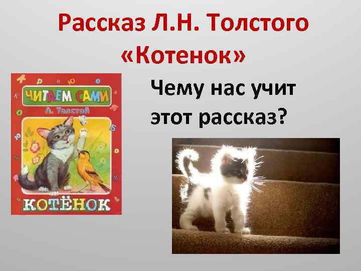 Толстой котенок презентация 2 класс школа россии