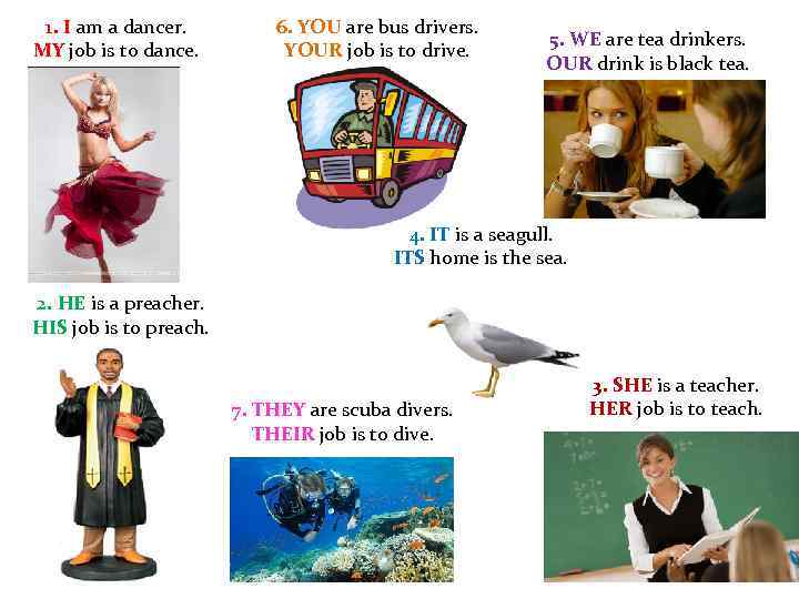 1. I am a dancer. MY job is to dance. 6. YOU are bus