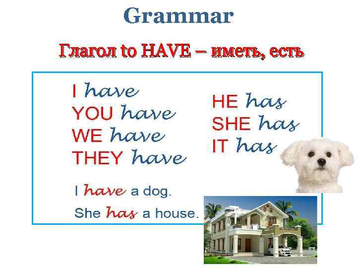 Grammar Глагол to HAVE – иметь, есть 