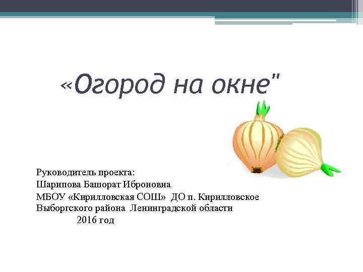  «Огород на окне" Руководитель проекта: Шарипова Башорат Иброновна МБОУ «Кирилловская СОШ» ДО п.