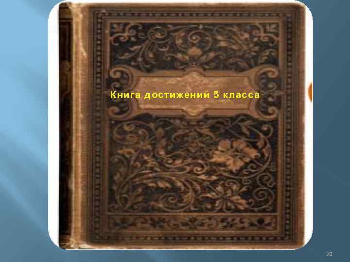 Книга достижений 5 класса 20 