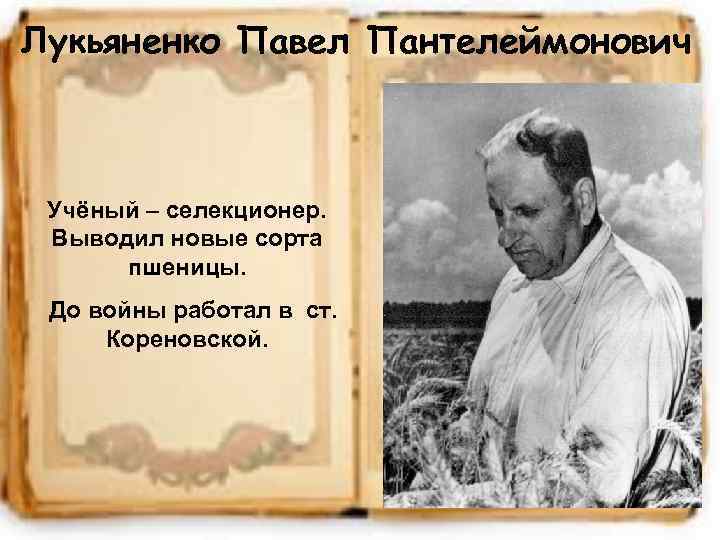 Лукьяненко Павел Пантелеймонович Учёный – селекционер. Выводил новые сорта пшеницы. До войны работал в