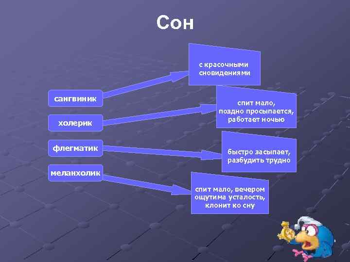 Сон с красочными сновидениями сангвиник холерик флегматик спит мало, поздно просыпается, работает ночью быстро