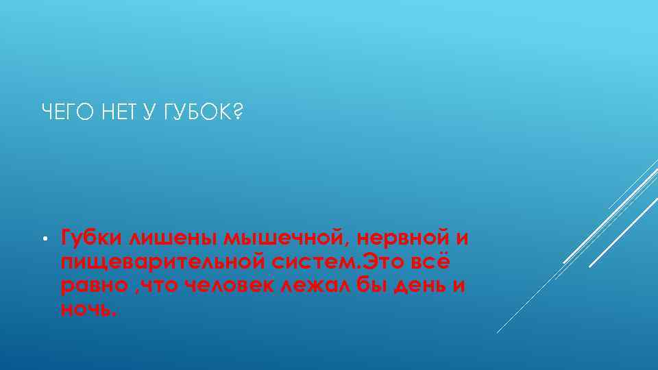 ЧЕГО НЕТ У ГУБОК? • Губки лишены мышечной, нервной и пищеварительной систем. Это всё