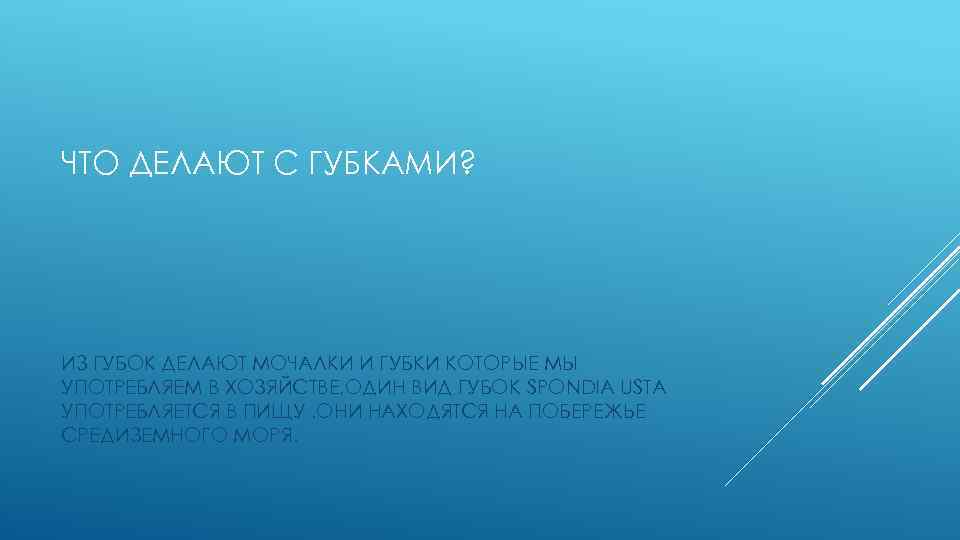 ЧТО ДЕЛАЮТ С ГУБКАМИ? ИЗ ГУБОК ДЕЛАЮТ МОЧАЛКИ И ГУБКИ КОТОРЫЕ МЫ УПОТРЕБЛЯЕМ В