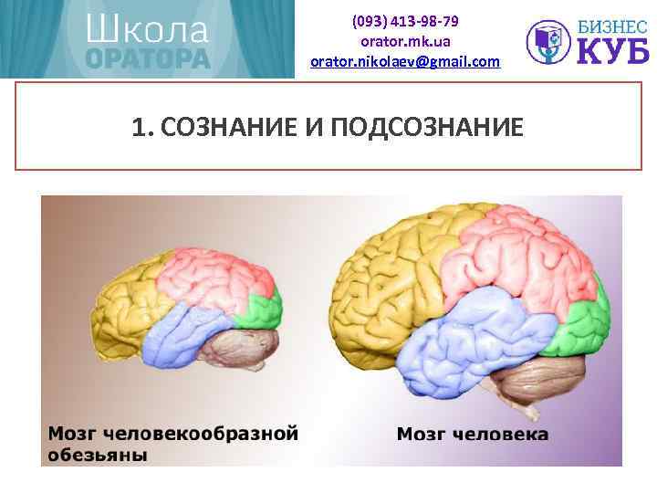 (093) 413 -98 -79 orator. mk. ua orator. nikolaev@gmail. com 1. СОЗНАНИЕ И ПОДСОЗНАНИЕ