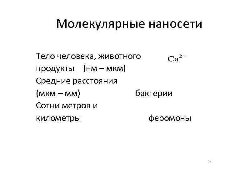 Молекулярные наносети Тело человека, животного продукты (нм – мкм) Средние расстояния (мкм – мм)