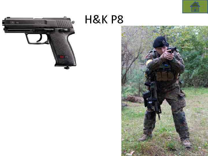 H&K P 8 