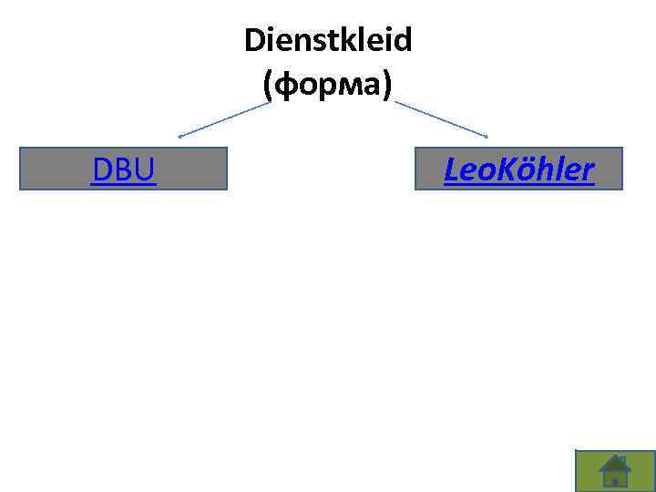 Dienstkleid (форма) DBU Leo. Köhler 