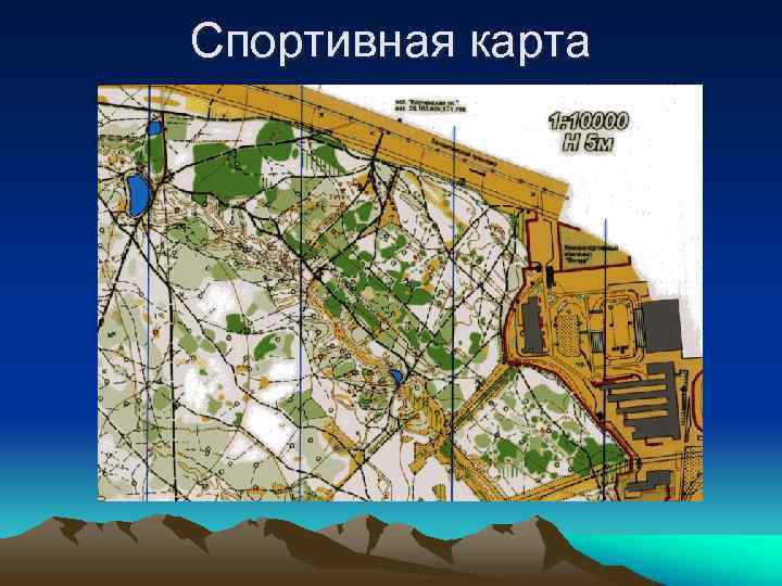 Спортивная карта 