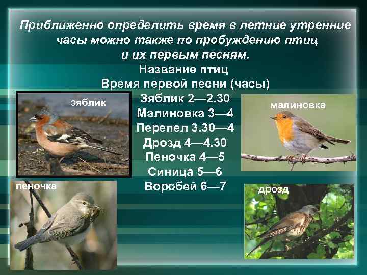 Приближенно определить время в летние утренние часы можно также по пробуждению птиц и их