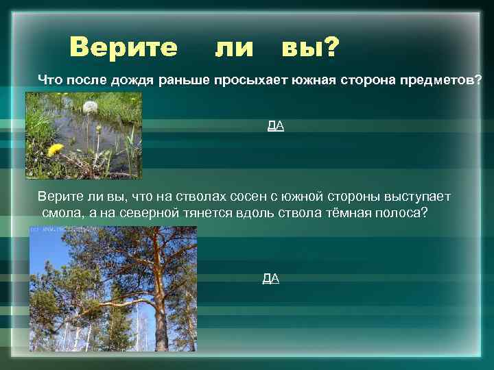 Верите ли вы? Что после дождя раньше просыхает южная сторона предметов? ДА Верите ли