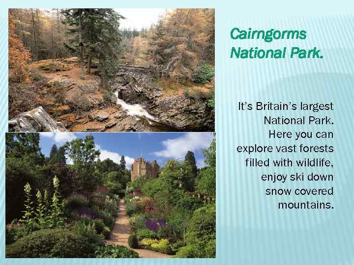 Cairngorms National Park. It’s Britain’s largest National Park. Here you can explore vast forests