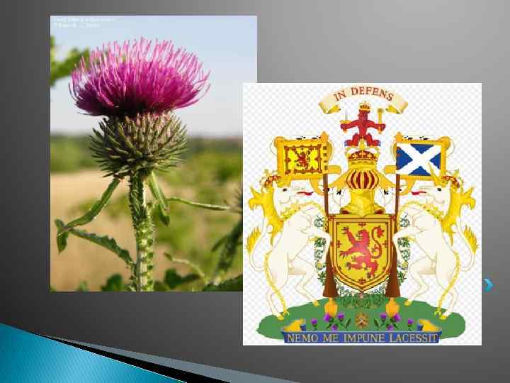 Sources : http: //mykilt. ru 