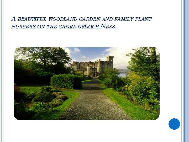 A BEAUTIFUL WOODLAND GARDEN AND FAMILY PLANT NURSERY ON THE SHORE OFLOCH NESS. 