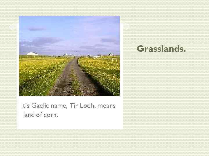 Grasslands. It’s Gaelic name, Tir Lodh, means land of corn. 