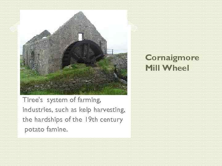 Cornaigmore Mill Wheel Tiree's system of farming, industries, such as kelp harvesting, the hardships