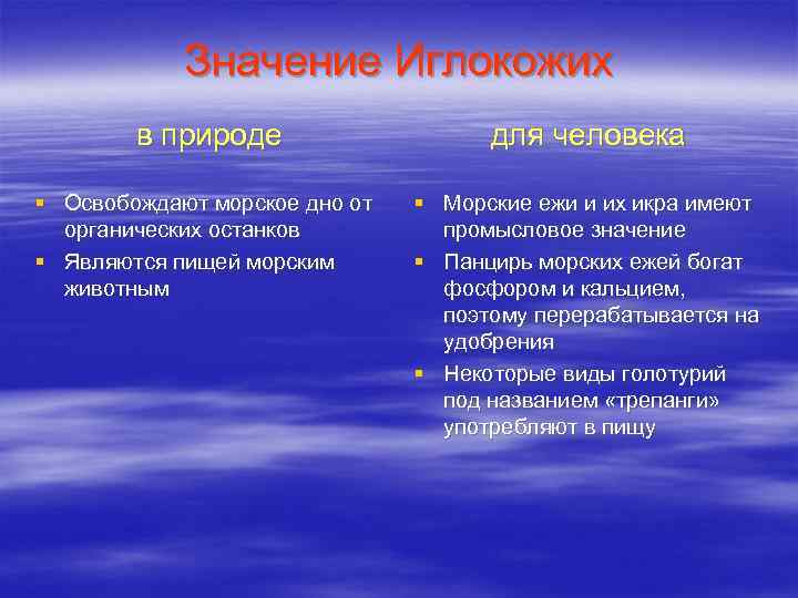 Значение Иглокожих в природе для человека § Освобождают морское дно от органических останков §