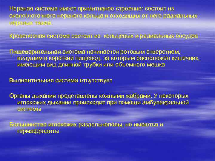 Нервная система имеет примитивное строение: состоит из окологлоточного нервного кольца и отходящих от него