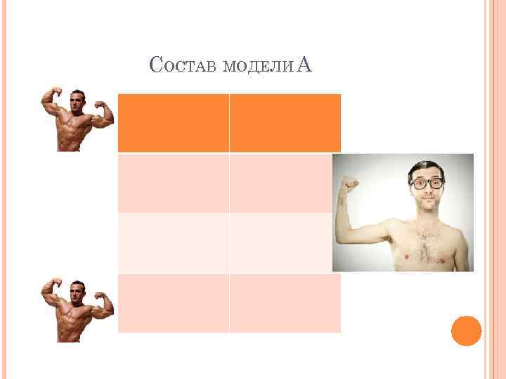 СОСТАВ МОДЕЛИ А 