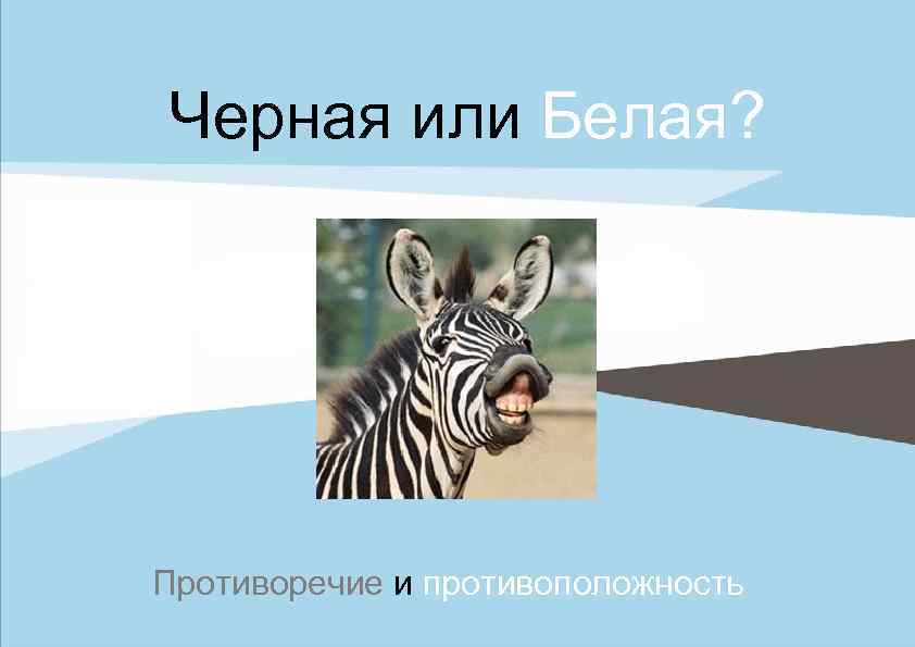 Черная или Белая? Противоречие и противоположность 