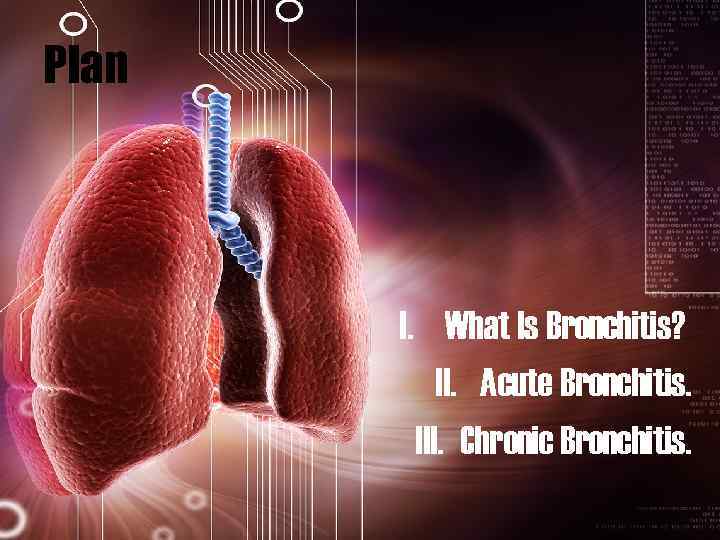 Plan I. What Is Bronchitis? II. Acute Bronchitis. III. Chronic Bronchitis. 