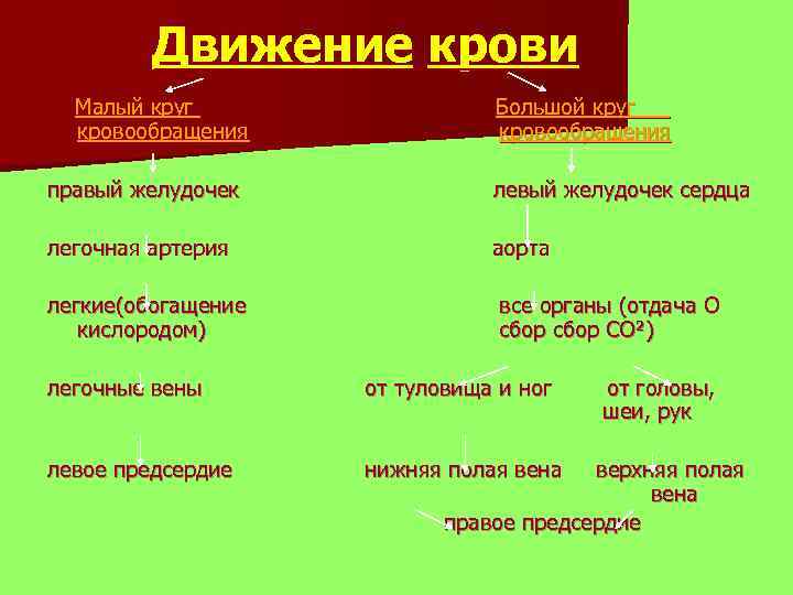 Движение крови Малый круг кровообращения Большой круг кровообращения правый желудочек левый желудочек сердца легочная