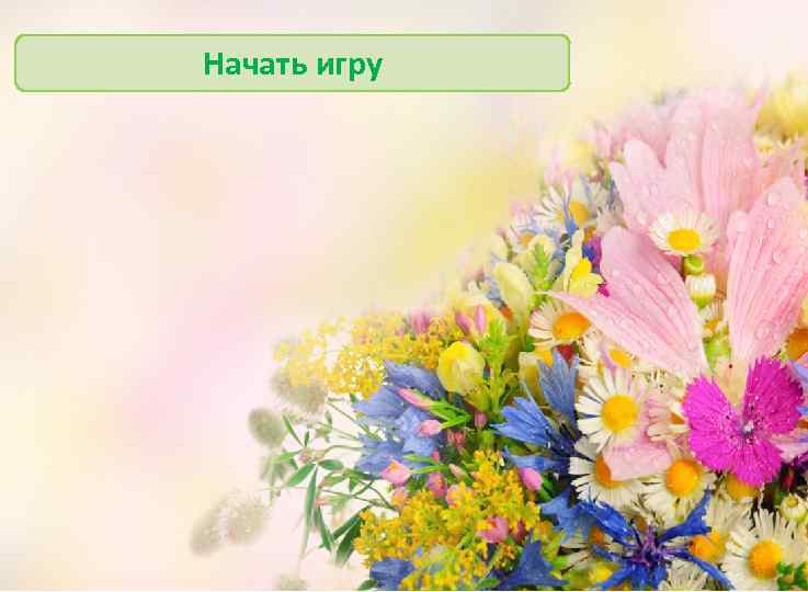 Начать игру 